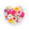 happy_flower