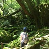 masami_b