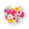 happy_flower