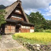 tomonobu_yamashita