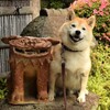 yuki_